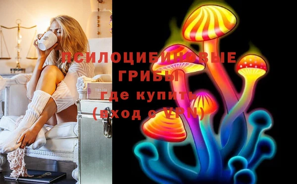 ГАЛЛЮЦИНОГЕННЫЕ ГРИБЫ Нея